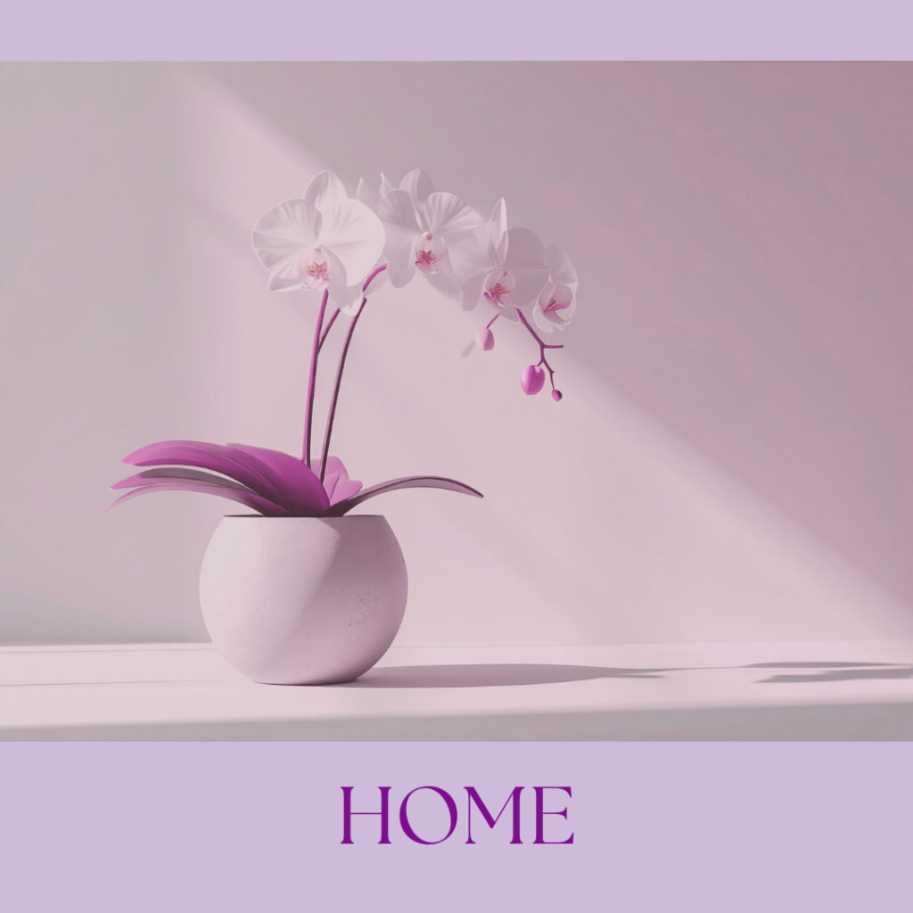 orchid on table top