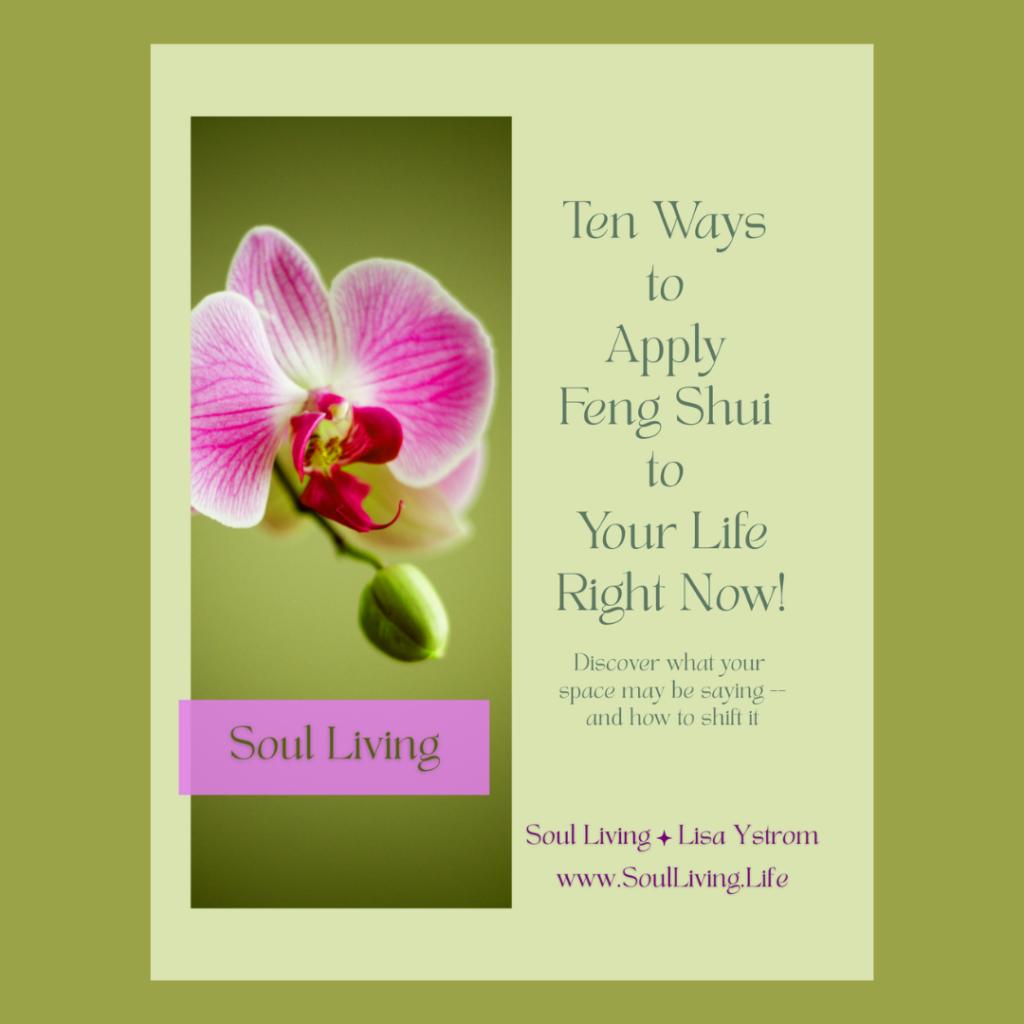 Cover of Soul Living Ten Ways to Apply Feng Shui to Your Life Right Now PDF
