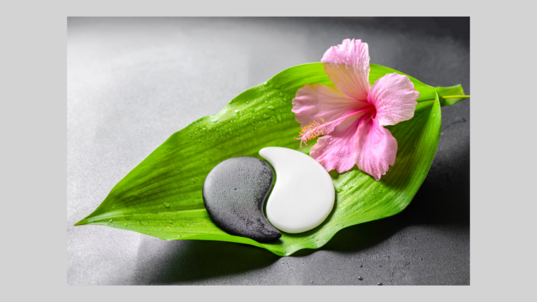 Pink flower, green leaf, and yin-yang stones representing balance and harmony in Feng Shui