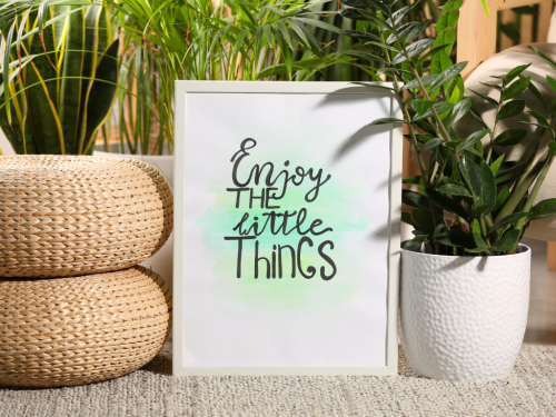 Plants, cushions, and frame saying of Enjoy the Little Things