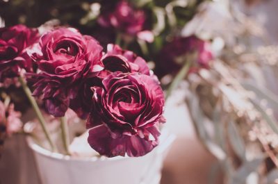 small vase with dark magenta flowers